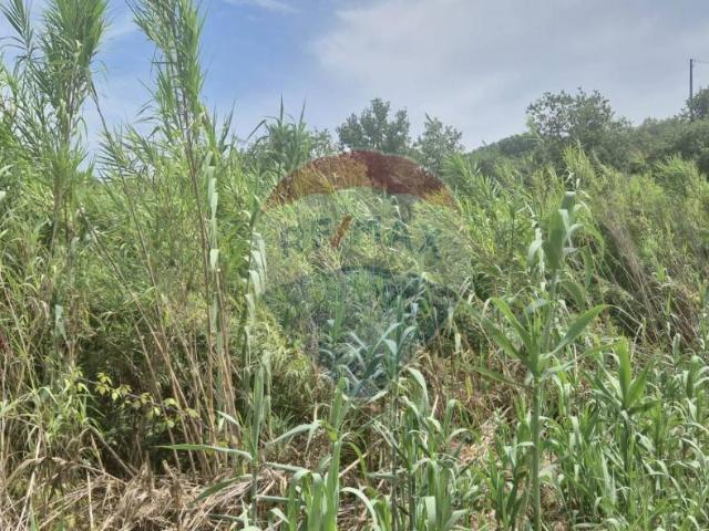 Terreno in vendita a Minturno, Lazio