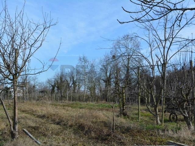 Terreno in vendita a Mirano, Veneto