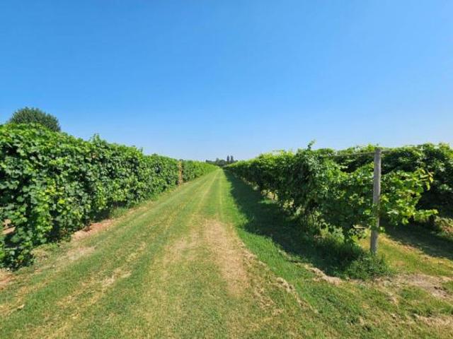 Terreno in vendita a San Faustino-Madonnina-Quattroville, Modena