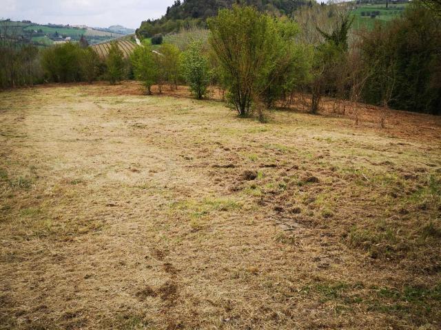 Terreno in vendita a Fontanelle, Monsampolo del Tronto