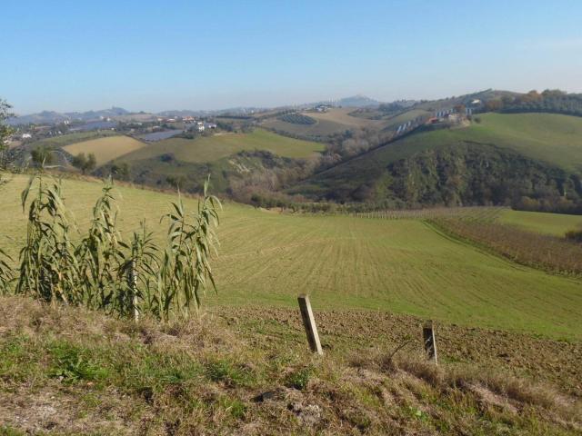 Terreno in vendita a Marche, Ascoli Piceno