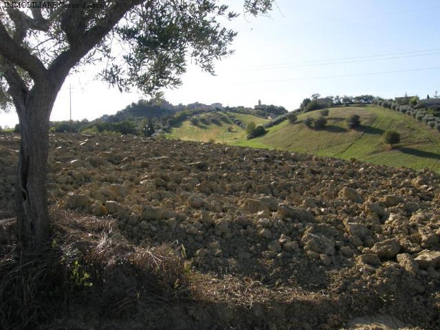 Terreno in vendita a Marche, Ascoli Piceno