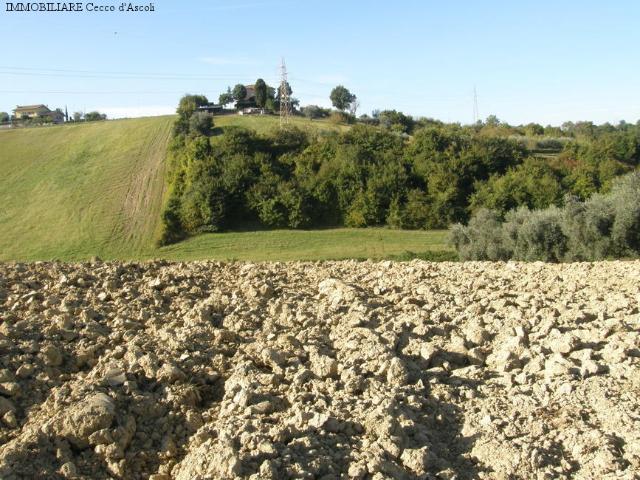 Terreno in vendita a Monsampolo del Tronto, Ascoli Piceno