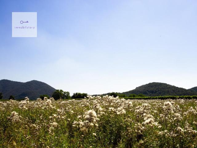 Terreno in vendita a Monticelli, Monselice