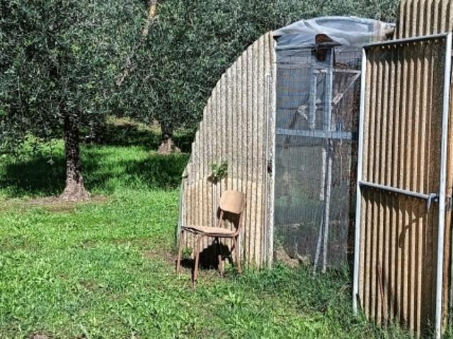 Terreno in vendita a Pozzarello, Montevettolini
