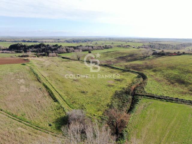Terreno in vendita a Montalto Di Castro, Lazio