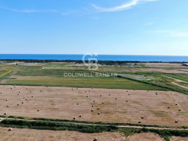 Terreno in vendita a Montalto Di Castro, Lazio