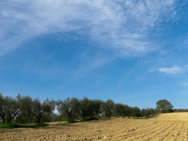 Terreno in vendita a Piemonte, Torino