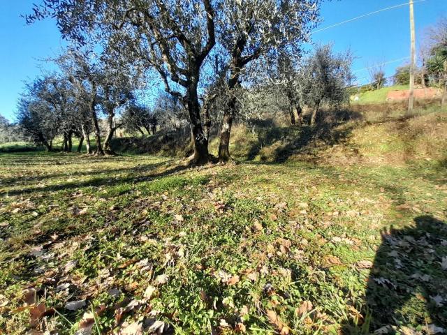Terreno in vendita a San Giuseppe, Montecarlo