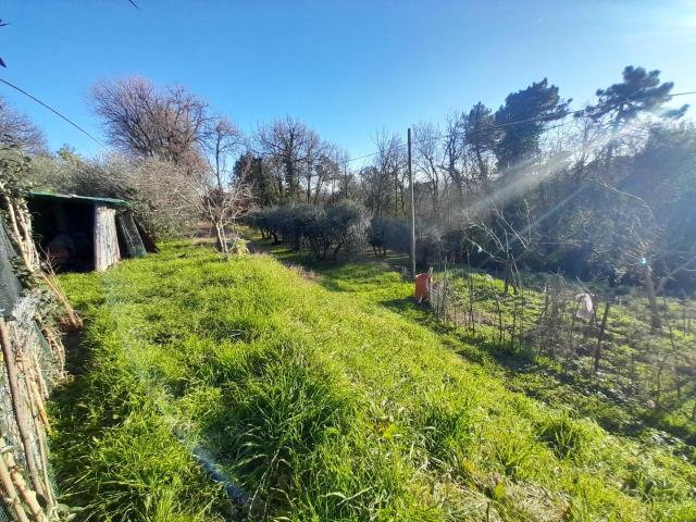 Terreno in vendita a San Giuseppe, Montecarlo