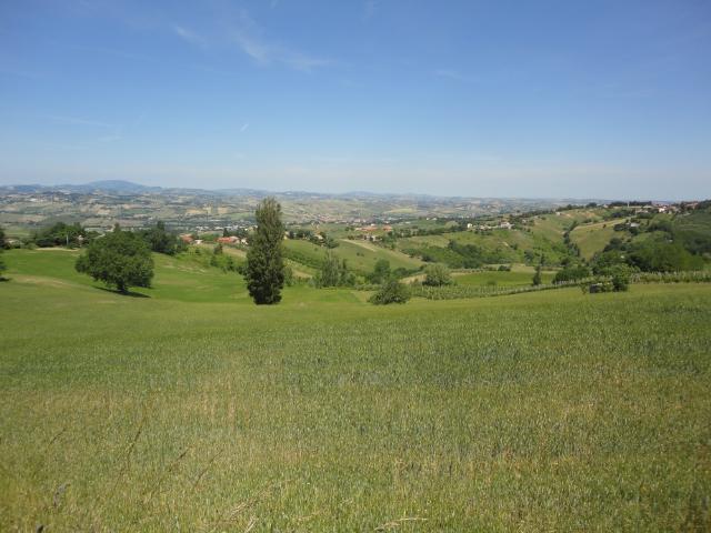 Terreno in vendita a Marche, Ancona