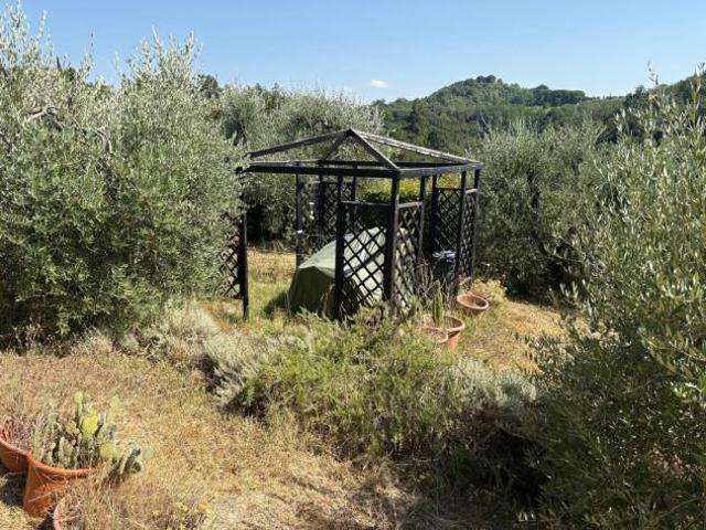 Terreno in vendita a Pontedera, Toscana
