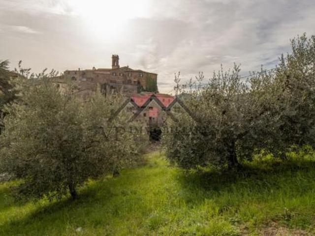 Terreno in vendita a Larderello, Toscana