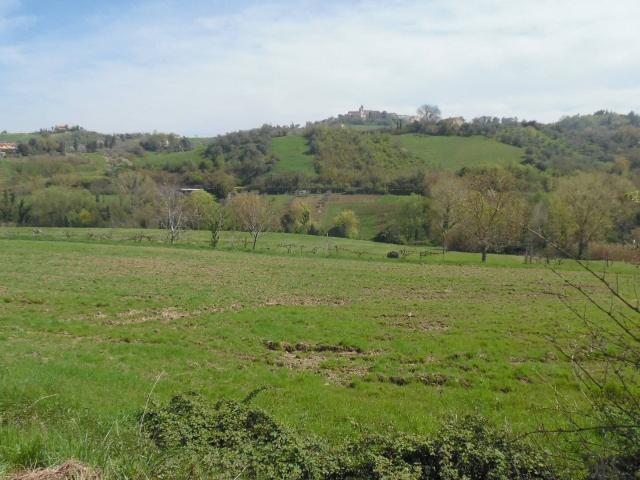 Terreno in vendita a Marche, Ascoli Piceno