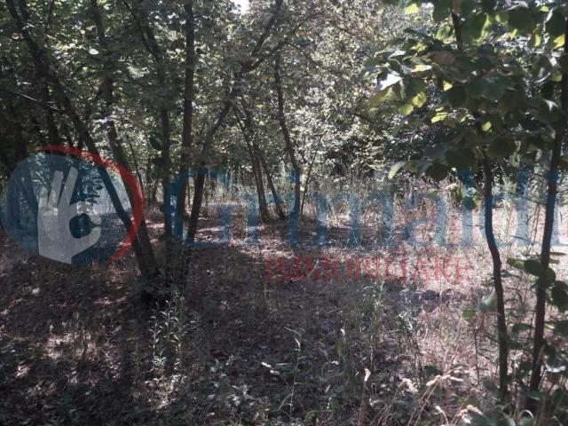 Terreno in vendita a Montefredane, Campania