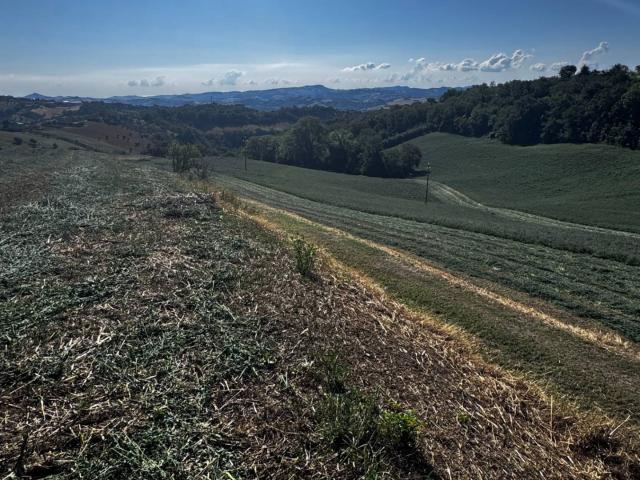 Terreno in vendita a Marche, Fermo