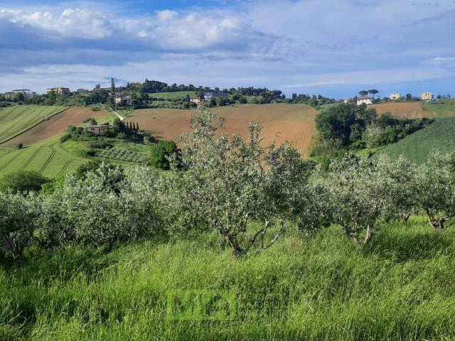 Terreno in vendita a Marche, Fermo