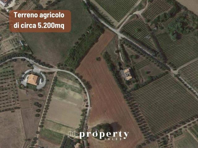 Terreno in vendita a San Donato, Marche