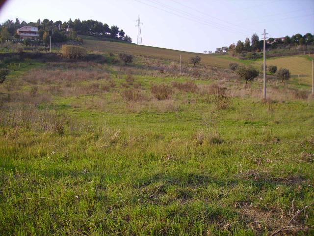 Terreno in vendita a Marche, Ascoli Piceno