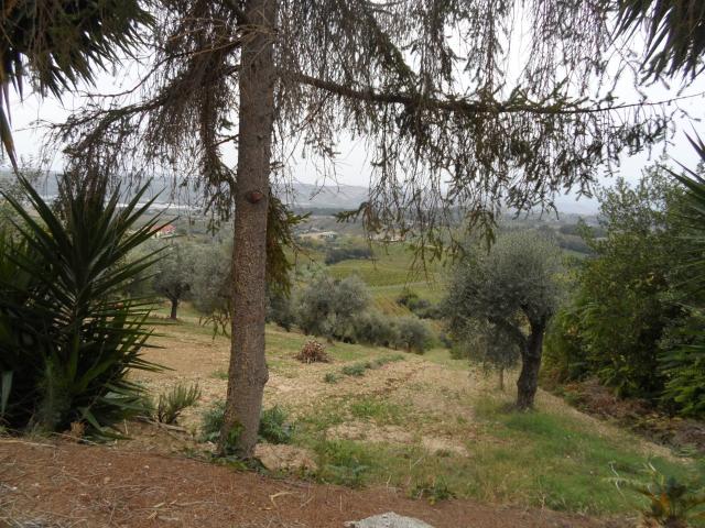 Terreno in vendita a San Giacomo, Marche