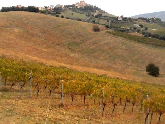 Terreno in vendita a Marche, Ascoli Piceno