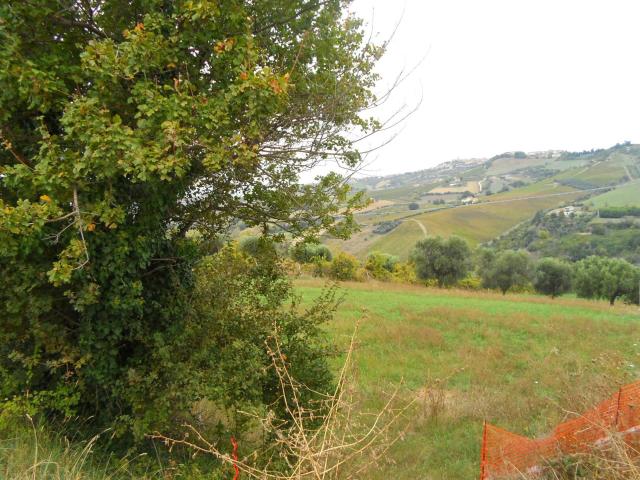 Terreno in vendita a Marche, Ascoli Piceno
