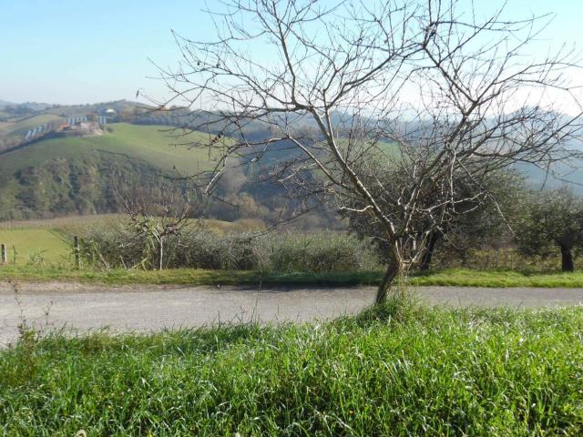Terreno in vendita a Marche, Ascoli Piceno