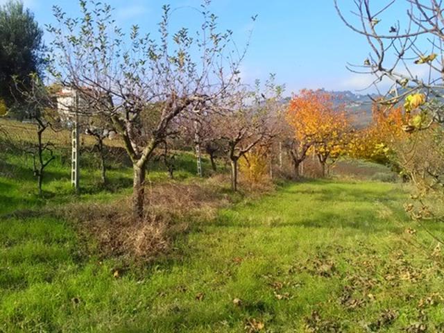 Terreno in vendita a Bora Ragnola, Marche