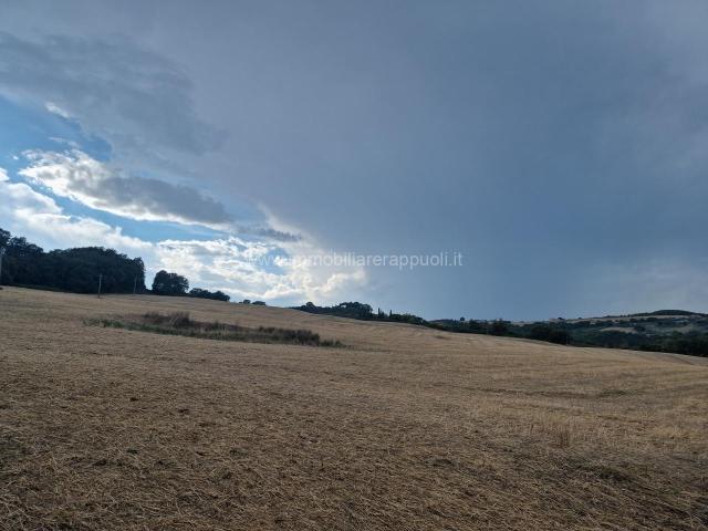 Terreno in vendita a Abbadia Di Montepulciano, Toscana