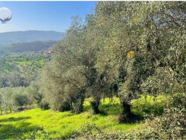 Terreno in vendita a Empoli, Firenze