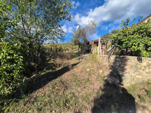 Terreno in vendita a Monteriggioni, Toscana