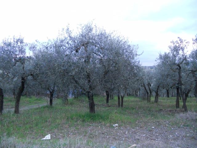 Terreno in vendita a Unione dei Comuni Circondario dell'Empolese Valdelsa, Montespertoli