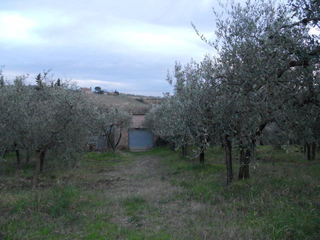 Terreno in vendita a Unione dei Comuni Circondario dell'Empolese Valdelsa, Montespertoli