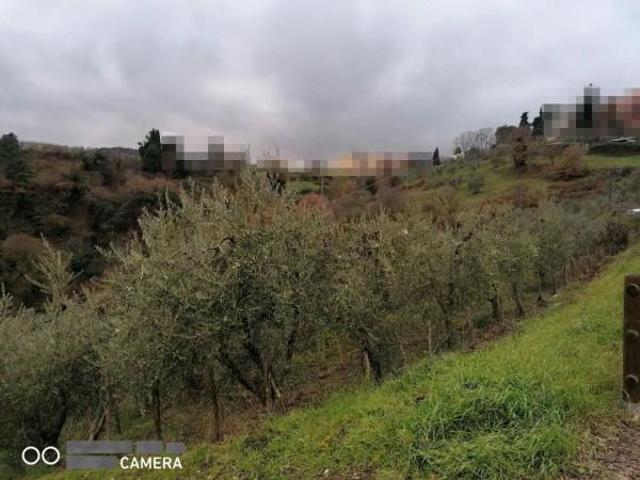 Terreno in vendita a Montevarchi, Toscana