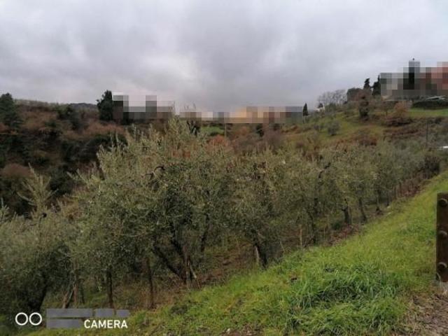Terreno in vendita a Montevarchi, Toscana