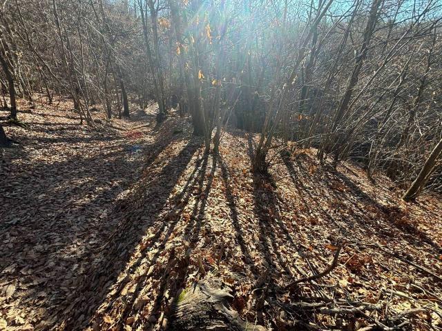 Terreno in vendita a Piemonte, Cuneo