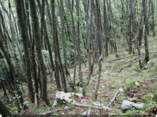 Terreno in vendita a Montieri, Toscana