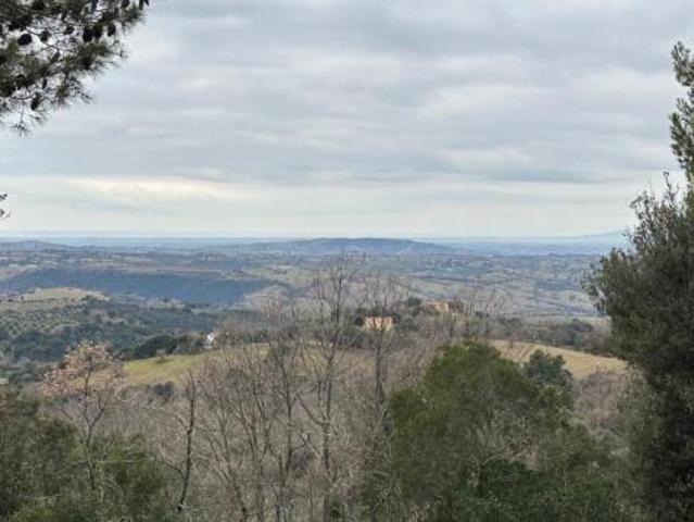 Terreno in vendita a Scansano, Grosseto