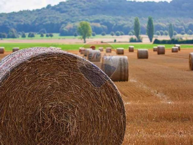 Terreno in vendita a Morazzone, Lombardia