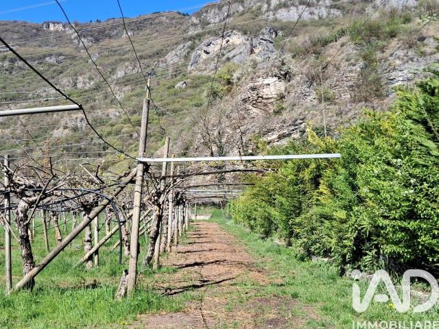 Terreno in vendita a Comunità della Vallagarina, Mori