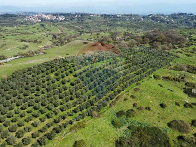 Terreno in vendita a Roma Capitale, Lazio