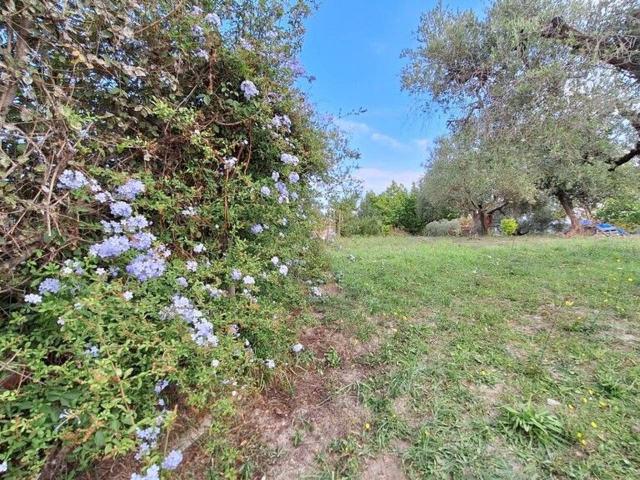 Terreno in vendita a Roma Capitale, Lazio
