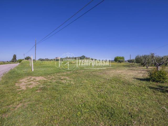 Terreno in vendita a Borgo Pintura, Marche
