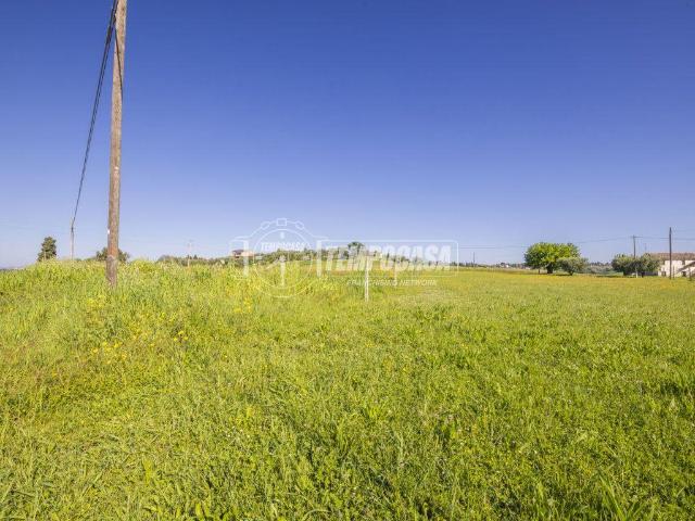Terreno in vendita a Borgo Pintura, Marche