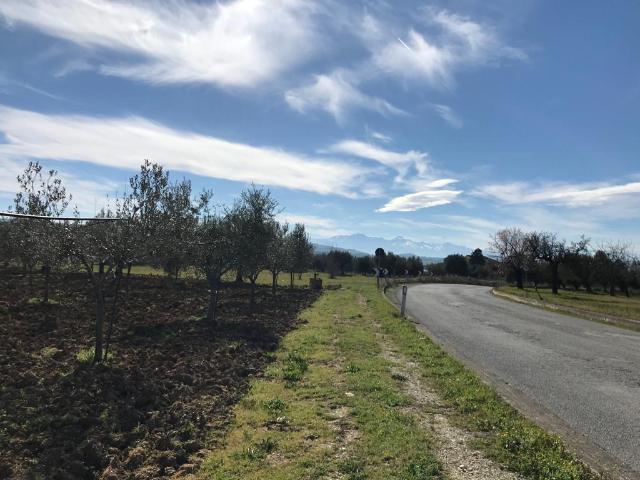Terreno in vendita a Mosciano Sant'angelo, Abruzzo