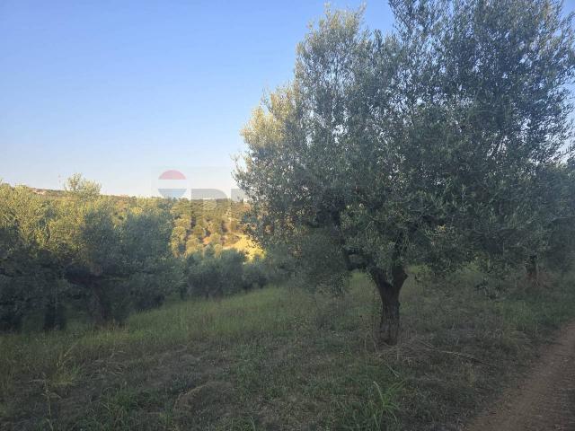 Terreno in vendita a Moscufo, Abruzzo