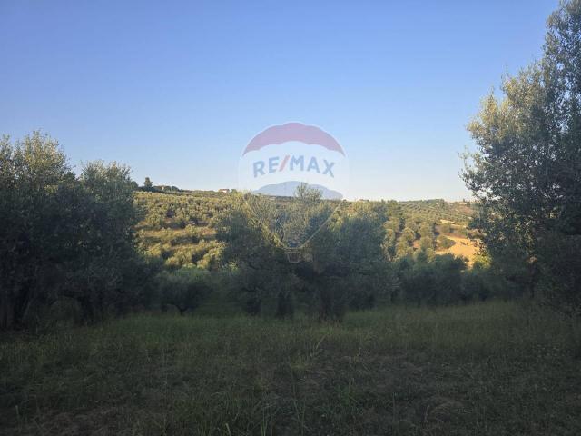 Terreno in vendita a Moscufo, Abruzzo