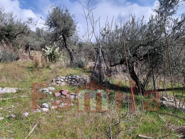 Terreno in vendita a Mugnano Del Cardinale, Campania