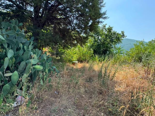 Terreno in vendita a Mugnano del Cardinale, Avellino