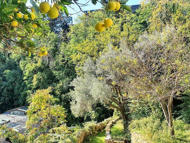Terreno in vendita a Municipalità 1, Campania